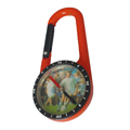 Compass